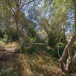 Villa Maria 6